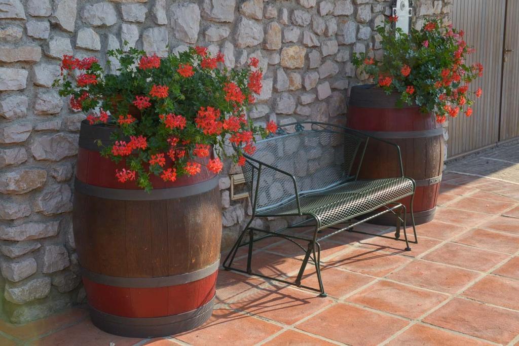 Agriturismo Kogoj Medea Eksteriør billede